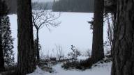 Bild: P0090