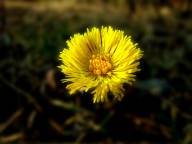 Bild: P0150