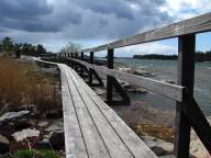 Tur: Sandviks Camping, Stendrrens Naturreservat