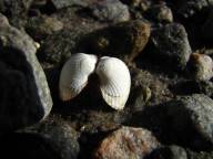 Tur: Sandviks Camping