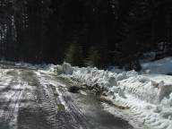 V�rstatus inf�r Fricamping