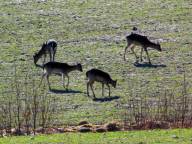 Fricamping s�dra S�rmland