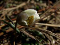 Fricamping s�dra S�rmland