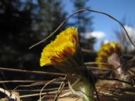 Fricamping s�dra S�rmland