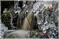Isigt vattenfall i skogsbck, Isformation