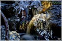 Isigt vattenfall i skogsbck, Is Skogsbck