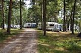 Kalvholmens Camping